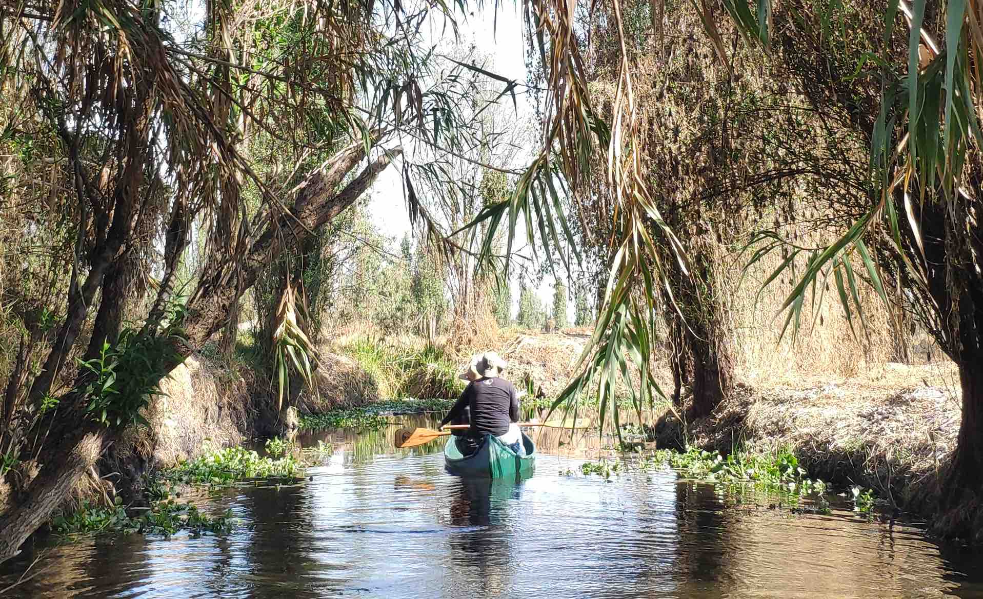 Discover the Real Xochimilco