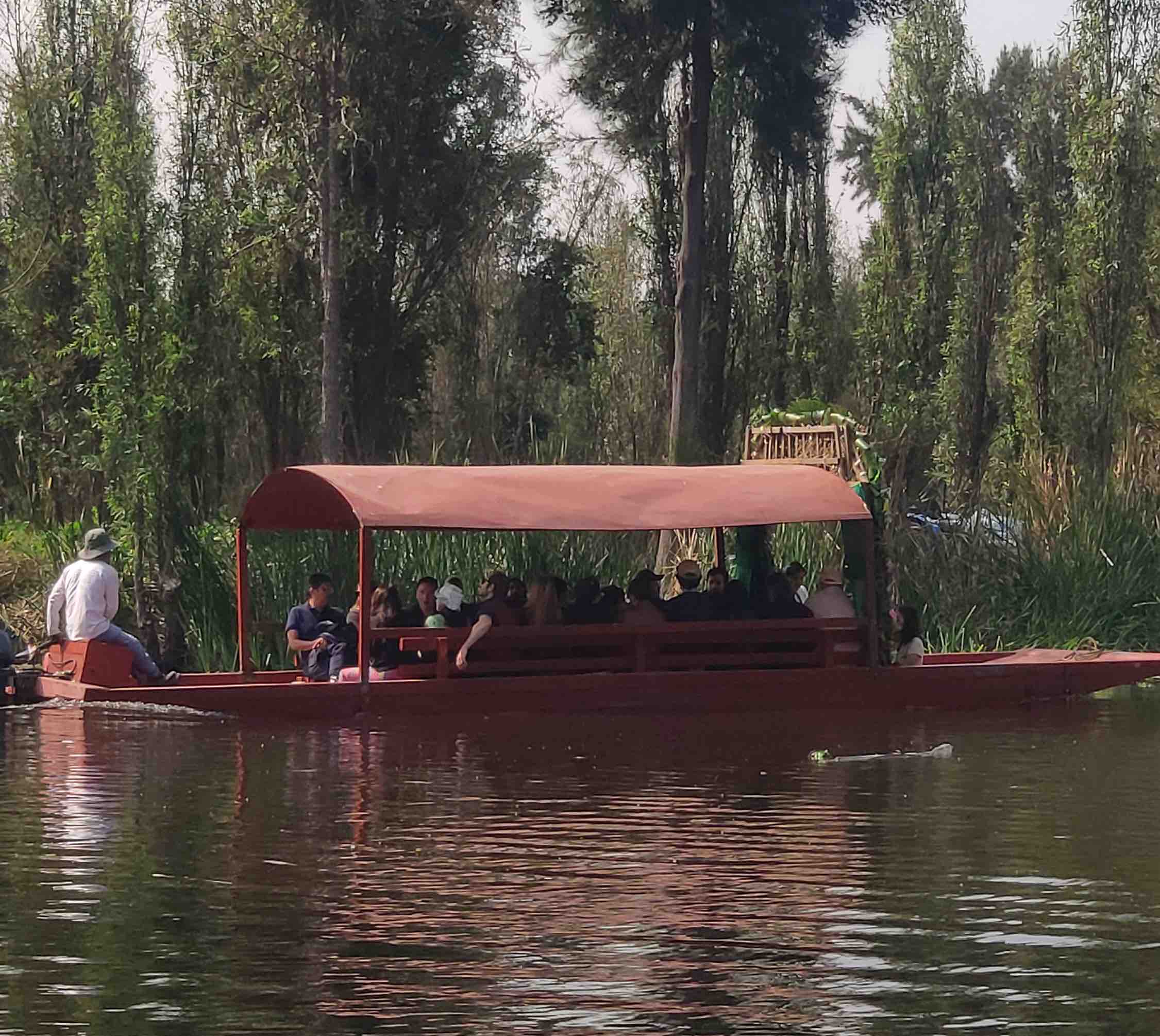 Discover the Real Xochimilco