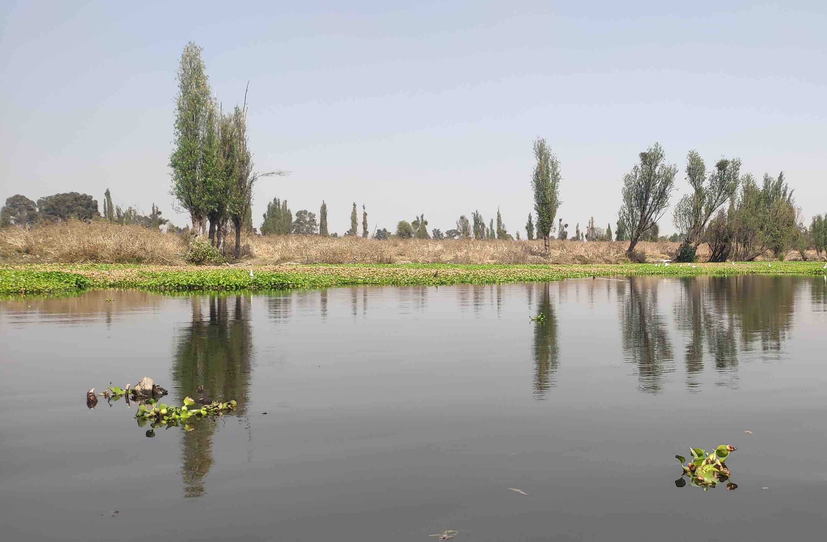 Discover the Real Xochimilco