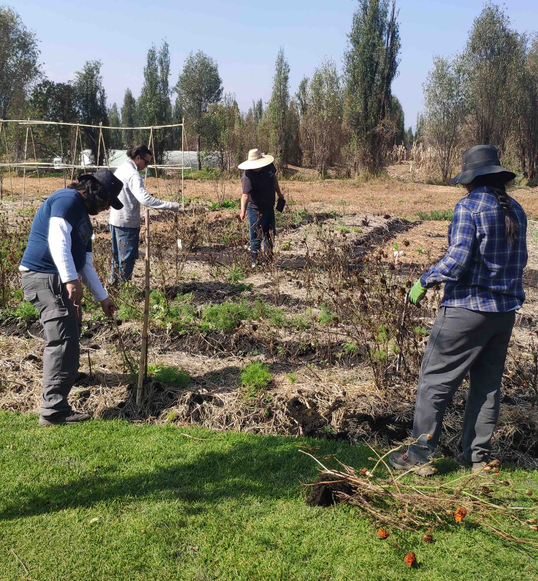 Discover the Real Xochimilco