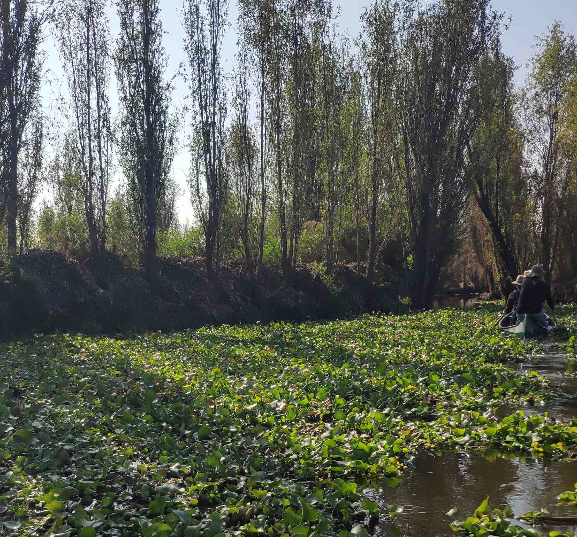 Discover the Real Xochimilco
