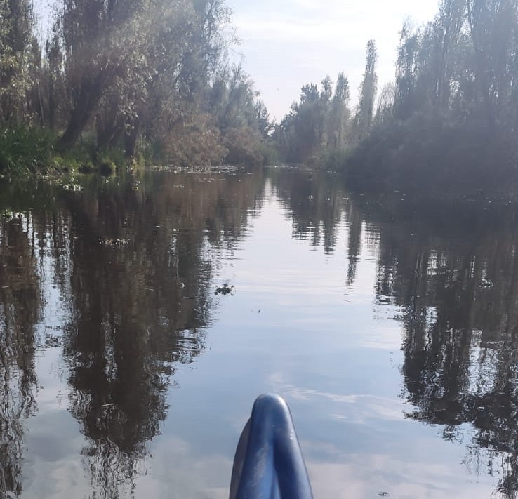 Discover the Real Xochimilco