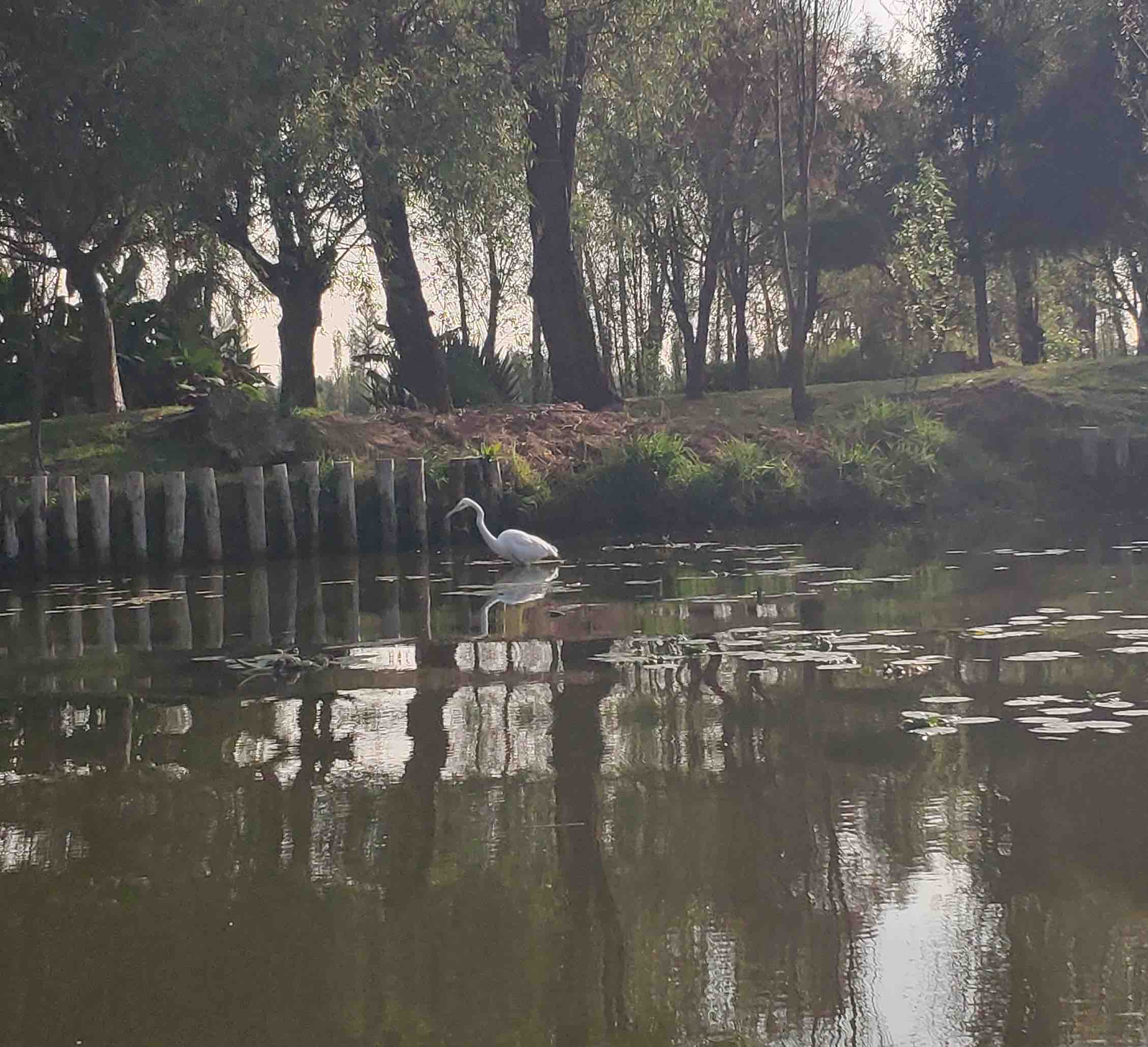 Discover the Real Xochimilco